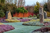 HOLME FOR GARDENS, DORSET, FEBRUARY, HENGE GARDEN, HOLME HENGE, STONE CIRCLE OF PURBECK STONE MONOLITHS, HEATHERS, PINES, WINTER GARDEN