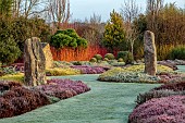 HOLME FOR GARDENS, DORSET, FEBRUARY, HENGE GARDEN, HOLME HENGE, STONE CIRCLE OF PURBECK STONE MONOLITHS, HEATHERS, PINES, WINTER GARDEN