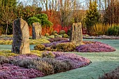 HOLME FOR GARDENS, DORSET, FEBRUARY, HENGE GARDEN, HOLME HENGE, STONE CIRCLE OF PURBECK STONE MONOLITHS, HEATHERS, PINES, WINTER GARDEN