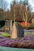 HOLME FOR GARDENS, DORSET, FEBRUARY, WINTER GARDEN, HENGE GARDEN, PURBECK MONOLITHS, HEATHERS, BETULA SILVER SHADOW, CORNUS SANGUINEA MIDWINTER FLAME