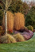 HOLME FOR GARDENS, DORSET, FEBRUARY, WINTER GARDEN, HENGE GARDEN, HEATHERS, BETULA, STIPA GIGANTEA, NANDINA FIREPOWER, MISCANTHUS