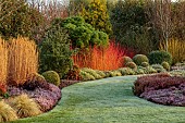 HOLME FOR GARDENS, DORSET, FEBRUARY, WINTER GARDEN, HENGE GARDEN, MISCANTHUS, GRASSES, HEATHERS, LONICERA BAGGESENS GOLD, CORNUS SANGUINEA MIDWINTER FIRE