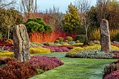 HOLME FOR GARDENS, DORSET, FEBRUARY, WINTER GARDEN, HENGE GARDEN, PURBECK MONOLITHS, HEATHERS, CORNUS SANGUINEA MIDWINTER FLAME