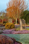 HOLME FOR GARDENS, DORSET, FEBRUARY, WINTER GARDEN, HENGE GARDEN, HEATHERS, PURBECK STONE MONOLITHS, PINUS MUGO CARSTENS WINTER GOLD, CONIFERS