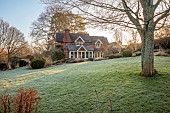HILL FARM , SURREY, DESIGNER HELEN THOMAS: WINTER, FEBRUARY, THE EDWARDIAN HOUSE FROM THE HERBACEOUS BORDER, LAWN, GRASSES, FROST, FROSTY