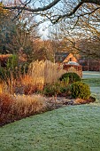 HILL FARM , SURREY, DESIGNER HELEN THOMAS: WINTER, FEBRUARY, GRASSES, MISCANTHUS SINENSIS MALEPARTUS, CALAMAGROSTIS BRACHYTRICHA, BUXUS BALLS, SEDUM MATRONA, PENNISETUM HAMELN
