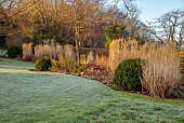 HILL FARM , SURREY, DESIGNER HELEN THOMAS: WINTER, FEBRUARY, GRASSES, MISCANTHUS SINENSIS MALEPARTUS, CALAMAGROSTIS BRACHYTRICHA, BUXUS BALLS, SEDUM MATRONA, PENNISETUM HAMELN
