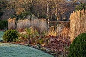 HILL FARM , SURREY, DESIGNER HELEN THOMAS: WINTER, FEBRUARY, GRASSES, MISCANTHUS SINENSIS MALEPARTUS, CALAMAGROSTIS BRACHYTRICHA, BUXUS BALLS, SEDUM MATRONA, PENNISETUM HAMELN