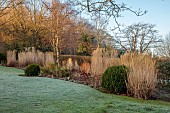 HILL FARM , SURREY, DESIGNER HELEN THOMAS: WINTER, FEBRUARY, GRASSES, MISCANTHUS SINENSIS MALEPARTUS, CALAMAGROSTIS BRACHYTRICHA, BUXUS BALLS, SEDUM MATRONA, PENNISETUM HAMELN