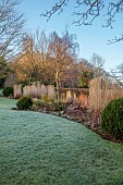 HILL FARM , SURREY, DESIGNER HELEN THOMAS: WINTER, FEBRUARY, GRASSES, MISCANTHUS SINENSIS MALEPARTUS, CALAMAGROSTIS BRACHYTRICHA, BUXUS BALLS, SEDUM MATRONA, PENNISETUM HAMELN