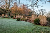 HILL FARM , SURREY, DESIGNER HELEN THOMAS: WINTER, FEBRUARY, GRASSES, MISCANTHUS SINENSIS MALEPARTUS, CALAMAGROSTIS BRACHYTRICHA, BUXUS BALLS, SEDUM MATRONA, PENNISETUM HAMELN