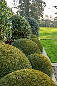 MORTON HALL GARDENS, WORCESTERSHIRE: CLIPPED TOPIARY, FEBRUARY, LAWN, PARKLAND