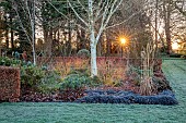 LITTLETHORPE MANOR, YORKSHIRE, FEBRUARY, WINTER GARDEN: FROST, FROSTY, SUNRISE, BORDER, BETULA, EUPHORBIA WULFENII, OPHIOPOGON NIGRESCENS, CORNUS MIDWINTER FIRE, LAWN