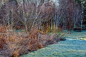 LITTLETHORPE MANOR, YORKSHIRE, FEBRUARY, WINTER GARDEN: FROST, FROSTY, LAWN, BORDER, PERENNIALS, GRASSES
