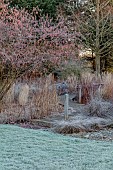 LITTLETHORPE MANOR, YORKSHIRE, FEBRUARY, WINTER GARDEN: LAWN, WOODEN DECKING, PATH, PINK CATKINS OF CORYLUS MAXIMA PURPUREA, PURPLE LEAVED FILBERT, SHRUBS, TREES, FROST, FROSTY