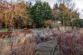 LITTLETHORPE MANOR, YORKSHIRE, FEBRUARY, WINTER GARDEN: WOODEN DECKING, PATHS, FROSTED PERENNIALS, GRASSES, BEECH HEDGES, HEDGING