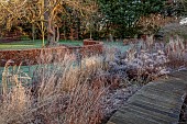 LITTLETHORPE MANOR, YORKSHIRE, FEBRUARY, WINTER GARDEN: WOODEN DECKING, PATHS, FROSTED PERENNIALS, GRASSES, BEECH HEDGES, HEDGING