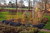LITTLETHORPE MANOR, YORKSHIRE, FEBRUARY, WINTER GARDEN: BEECH HEDGES, HEDGING, OPHIOPOGON NIGRESCENS, BIRCHES, CORNUS MIDWINTER FIRE, IRIS KATHARINE HODGKIN