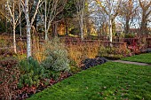 LITTLETHORPE MANOR, YORKSHIRE, FEBRUARY, WINTER GARDEN: BEECH HEDGES, HEDGING, OPHIOPOGON NIGRESCENS, BIRCHES, CORNUS MIDWINTER FIRE, BORDER