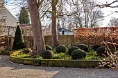 LITTLETHORPE MANOR, YORKSHIRE, FEBRUARY, WINTER GARDEN: FRONT GRAVEL DRIVE, HEDGES, HEDGING, BEECH, YEW, PLEACHED HORNBEAM, LUZULA SYLVATICA