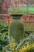 LITTLETHORPE MANOR, YORKSHIRE, FEBRUARY, WINTER GARDEN: BIRCH CIRCLE, GREEN CONTAINER, HIMALAYAN BIRCH, BETULA, BIRCHES, FERNS, POLYSTICHUM SETIFERUM HERRENHAUSEN