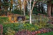 LITTLETHORPE MANOR, YORKSHIRE, FEBRUARY, WINTER GARDEN: BEECH HEDGES, HEDGING, BIRCHES, CORNUS MIDWINTER FIRE, CORNUS SERICEA FLAVIRAMEA, PINE