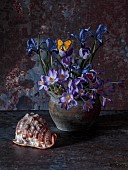 STILL LIFE, MARCH, CONTAINER WITH CROCUS, IRIS, SHELL