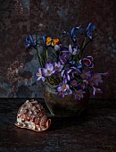 STILL LIFE, MARCH, CONTAINER WITH CROCUS, IRIS, SHELL