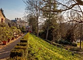 PAINSWICK ROCOCO GARDEN, GLOUCESTERSHIRE: MARCH, DAFFODILS, NARCISSUS, SLOPE, SLOPING, PATH TO THE EAGLE HOUSE, FOLLY