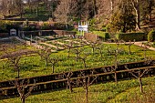 PAINSWICK ROCOCO GARDEN, GLOUCESTERSHIRE: MARCH, VIEW TO EXEDRA, DAFFODILS, NARCISSUS