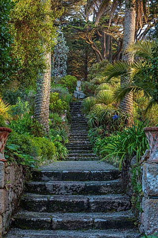 RESCO_ABBEY_GARDEN_ISLES_OF_SCILLY_VIEW_UP_THE_NEPTUNE_STEPS_MARCH_SPRING