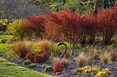 JOHN MASSEY GARDEN, ASHWOOD NURSERIES, WORCESTERSHIRE: MARCH, SPRING, BORDER, BERBERIS THUNBERGII RUBY STAR, BERBERIS THUNBERGII ORANGE ROCKET, GRASSES, SWAN SCULPTURE