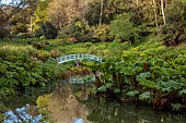 TREBAH GARDEN, CORNWALL, APRIL, VIEW UP VALLEY TO BLUE BRIDGE, MALLARD POND, WATER, HYDRANGEA VALLEY, GUNNERA, SPRING, REFLECTIONS, REFLECTED