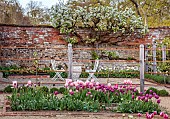 ASHBY MANOR HOUSE, NORTHAMPTONSHIRE, APRIL, THE WALLED GARDEN, TULIPS, CUTTING GARDEN, BLOSSOM, SPRING, TABLE AND CHAIRS