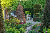 THE OLD RECTORY WARBLETON, EAST SUSSEX, APRIL, BORDER BY LAWN, CLIPPED YEW TOPIARY, TULIPS, BEECH TOPIARY, PATH, CHAIRS, BENCH, HEDGES, HEDGING