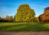 ASHBY MANOR HOUSE, NORTHAMPTONSHIRE: APRIL, SPRING, LAWN, TREE