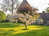 ASHBY MANOR HOUSE, NORTHAMPTONSHIRE: APRIL, SPRING, BLOSSOM, CHERRY TREE