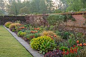 COUGHTON COURT, WARWICKSHIRE: MAY, LAWN, LONG BORDER, WALLED GARDEN, SUNRISE, TULIP BRONZE PERFECTION, EUPHORBIA POLYCHROMA