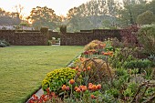 COUGHTON COURT, WARWICKSHIRE: MAY, LAWN, LONG BORDER, WALLED GARDEN, SUNRISE, TULIP BRONZE PERFECTION, EUPHORBIA POLYCHROMA