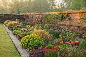 COUGHTON COURT, WARWICKSHIRE: MAY, LAWN, LONG BORDER, WALLED GARDEN, SUNRISE, TULIP BRONZE PERFECTION, EUPHORBIA POLYCHROMA