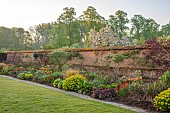 COUGHTON COURT, WARWICKSHIRE: MAY, LAWN, LONG BORDER, WALLED GARDEN, SUNRISE, TULIP BRONZE PERFECTION, EUPHORBIA POLYCHROMA