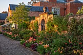 MORTON HALL GARDENS, WORCESTERSHIRE: KITCHEN GARDEN, BORDER, TULIP ANTOINETTE, AMAZING GRACE, DORDOGNE, BLACK HERO, IRIS MAUI MOONLIGHT, HEUCHERA AMETHYST MIST OR PLUM PUDDING