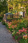 MORTON HALL GARDENS, WORCESTERSHIRE: KITCHEN GARDEN, BORDER, TULIP ANTOINETTE, AMAZING GRACE, DORDOGNE, BLACK HERO, IRIS MAUI MOONLIGHT, HEUCHERA AMETHYST MIST OR PLUM PUDDING