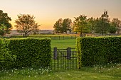 MORTON HALL GARDENS, WORCESTERSHIRE: HEDGES, HEDGING, GATE, SUNSET, BORROWED LANDSCAPE