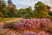 BOLESWORTH CASTLE, CHESHIRE, MAY, THE TERRACE BELOW THE CASTLE, STEPS, WISTERIA SINENSIS, SUNSET, PATH TO STONE GARDEN SEAT