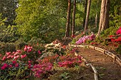 BOLESWORTH CASTLE, CHESHIRE, MAY, THE ROCK WALK, AZALEAS, RHODODENDRONS, PATHS