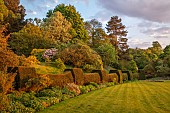 BOLESWORTH CASTLE, CHESHIRE, MAY, LAWN, YEW HEDGES, HEDGING, EVENING LIGHT