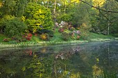 WOOTTON HALL, DERBYSHIRE: SPRING, MAY, RHODODENDRONS REFLECTED IN THE LAKE, WATER, REFLECTIONS, REFLECTED