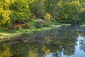 WOOTTON HALL, DERBYSHIRE: SPRING, MAY, RHODODENDRONS REFLECTED IN LAKE, REFLECTIONS, REFLECTED
