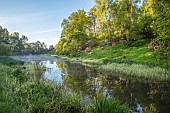 WOOTTON HALL, DERBYSHIRE: SPRING, MAY, RHODODENDRONS REFLECTED IN LAKE, REFLECTIONS, REFLECTED
